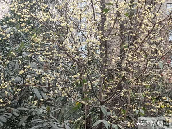 2023新春20个优秀拜年祝福集锦