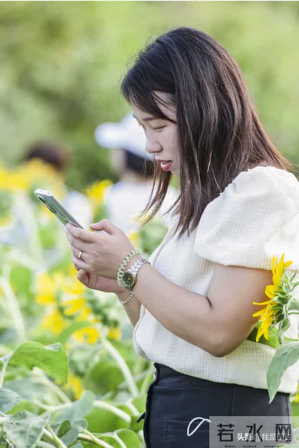 花千姿——花海国庆见闻（原创摄影+随笔300字）