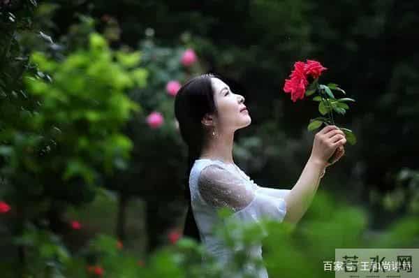 王和尚荐诗（词）评诗（词）