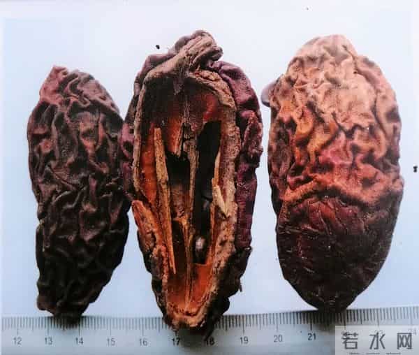 木瓜居然还是一味中药,有啥功效进来瞧瞧!