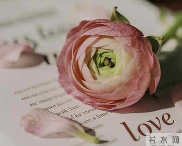 今天给大家带来一篇关于情感的文章