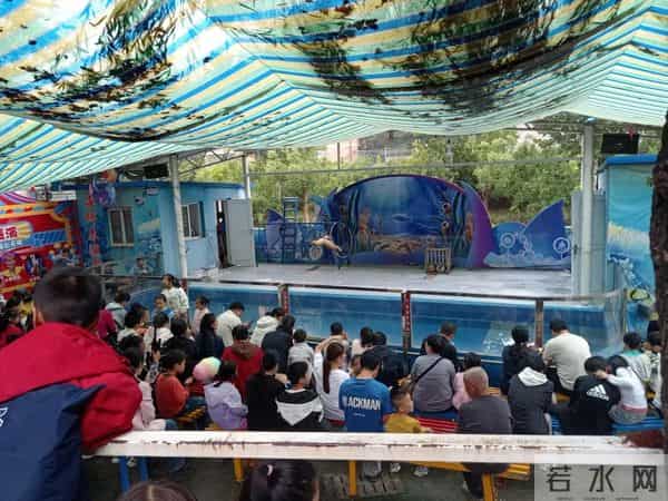 三年级日记之2025年国庆节游记和生活记录三则300字