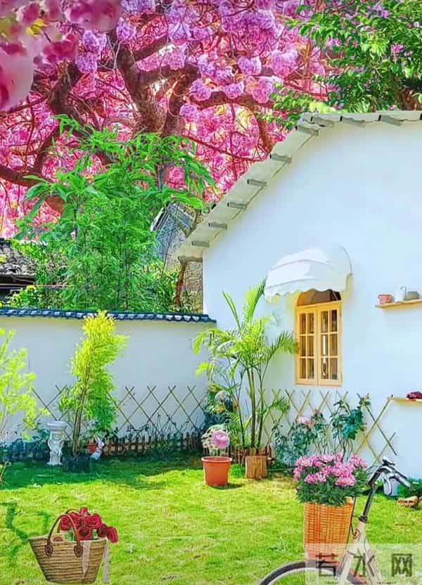 于无声处听惊雷，此时无声胜有声