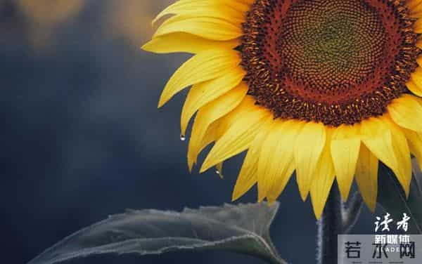 《巴黎圣母院》：改变命运的方法，永远只有一个