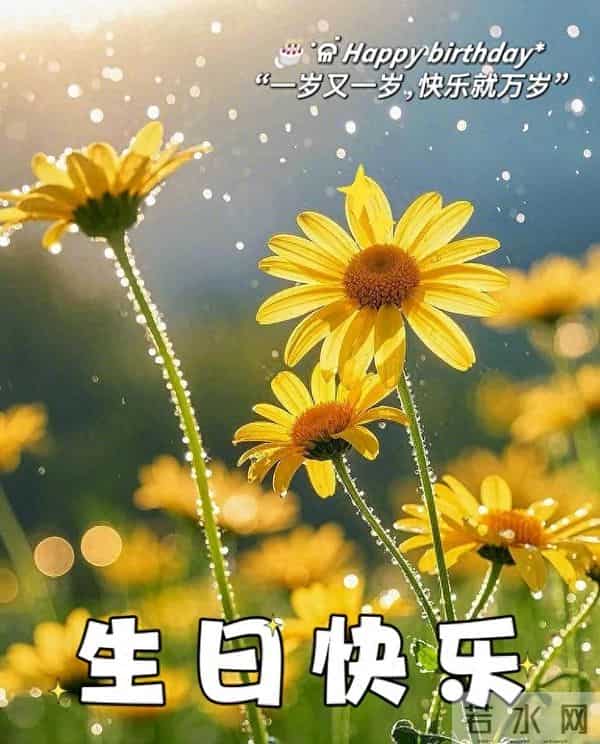 把生活的褶皱，轻轻抚平！生日文案致自己感言，生日快乐祝福语