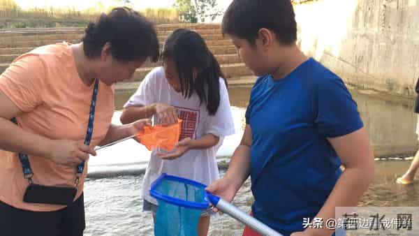 营地亲子活动的意义和价值