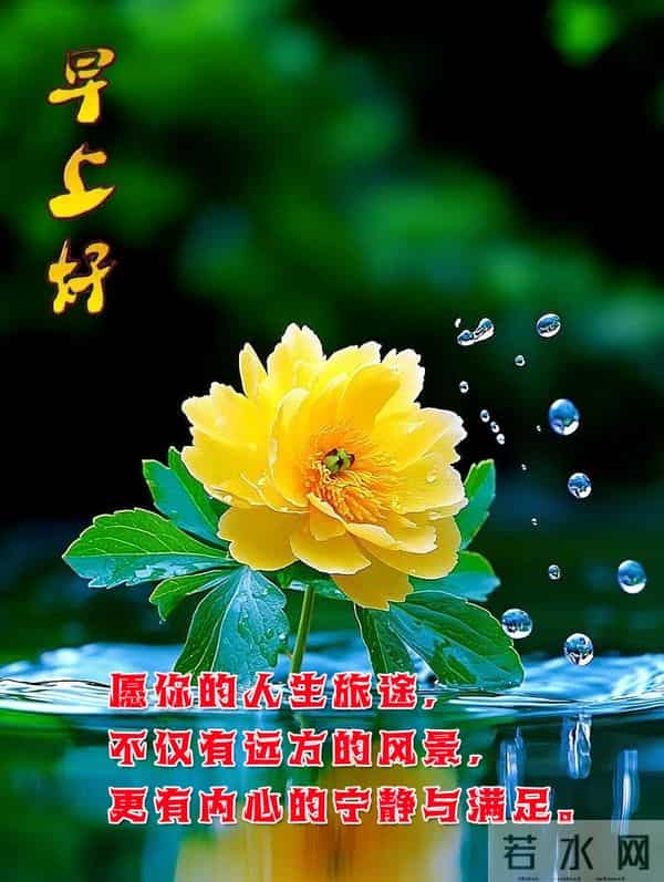 每日100句吉祥祝福语,最美的问候语大全,祝福朋友们快乐吉祥