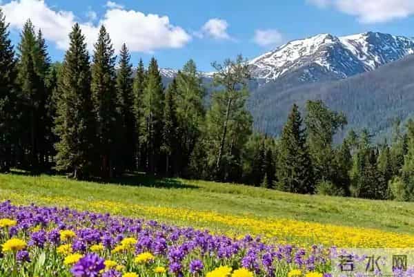 动感音乐,野性的自然