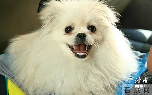 后半生最好的活法:口无怨怼,眼无是非,心怀善意