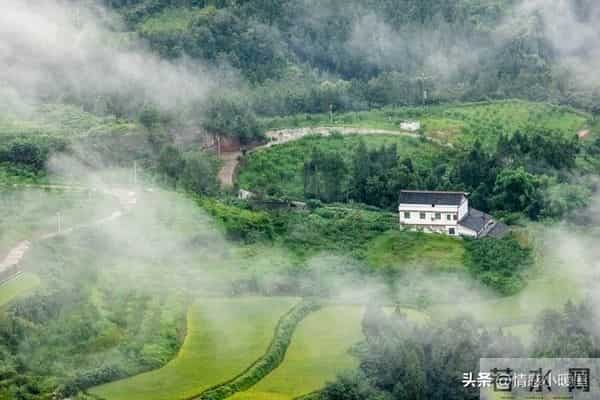 社区居家养老升级!60+老人不出门也能享专业照护