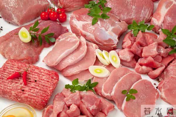 食养有道:日常饮食中的养生智慧