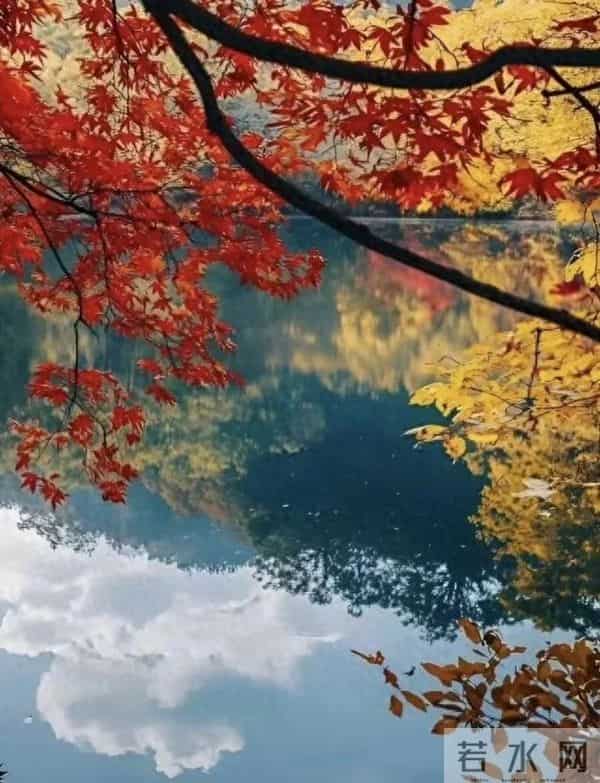 30句,霸气十足,又拽又豪横的句子,学到一句气场也很强大