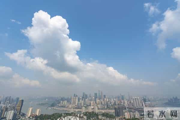 六年级上册道德与法治教学总结