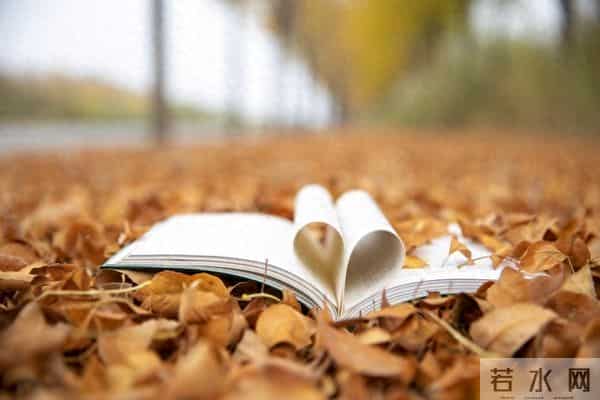 英语美文-50篇人民日报品质双语美文：中英对照，品读积累双丰收