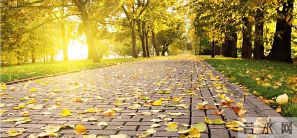 夜读丨余秋雨:暖暖的记忆