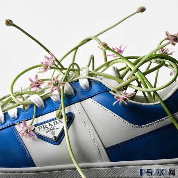 「May I love you」的意思是:在五月,我爱你