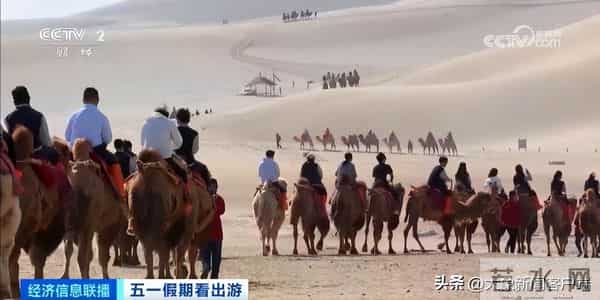 五一过半，趣事一箩筐，不仅人堵了骆驼也堵了……