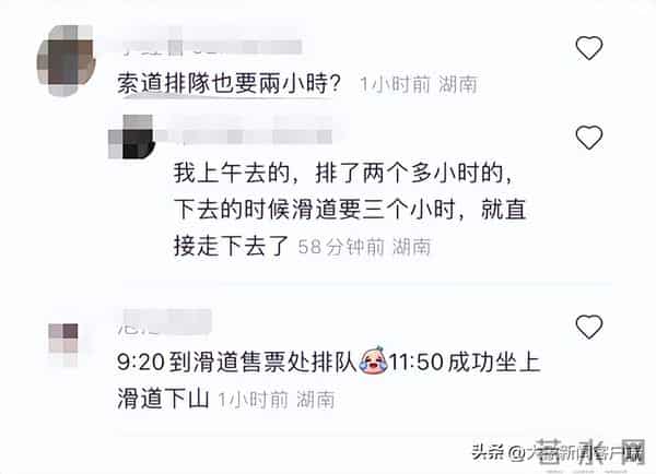 五一过半，趣事一箩筐，不仅人堵了骆驼也堵了……