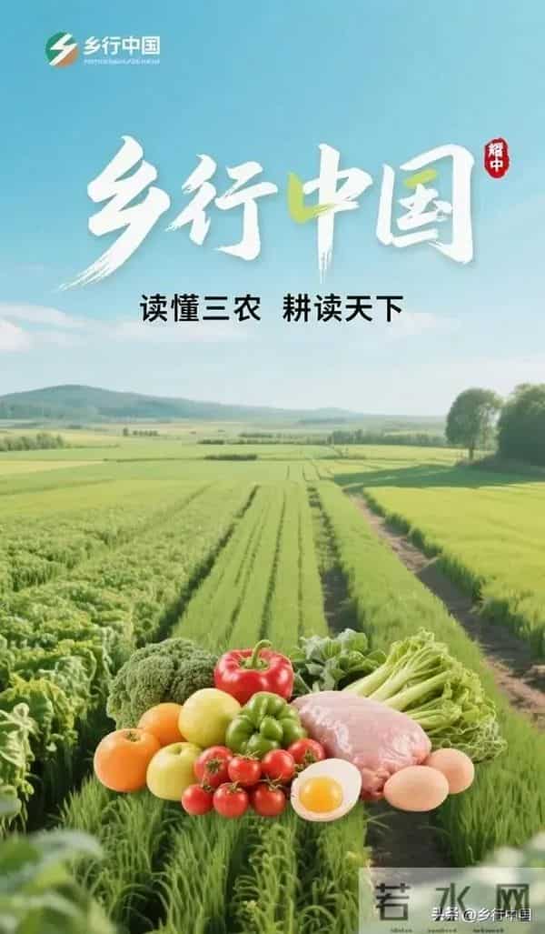 中国农村土地碎片化：成因、经济损耗与破局之策