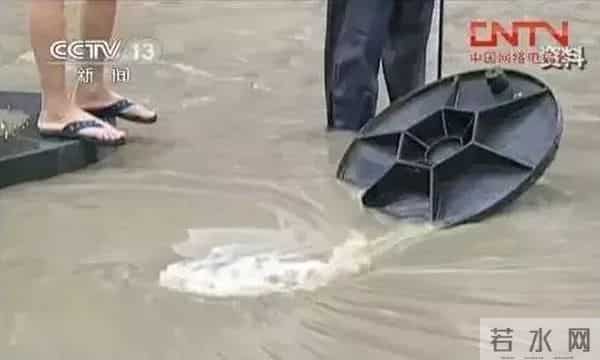 灾难与自救，幸存与遇难，这12个案例值得一看！