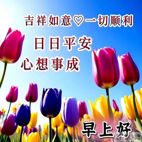 最新七夕节祝福语文案,七夕快乐图片,七夕祝福到,愿爱情到天长