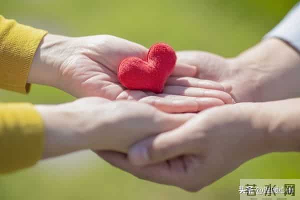 爱在心中,温暖在行动:真实感人的情感故事集锦