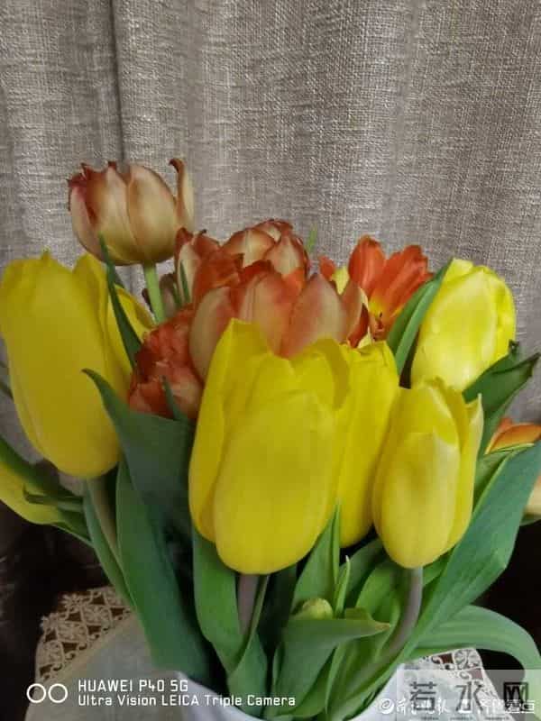 青未了-情人节又叫瓦伦丁节