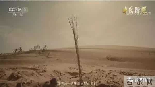 央视八步沙林场“六老汉”三代人治沙造林先进群体公益广告在武威市反响强烈