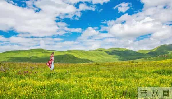 人性（无价短文）