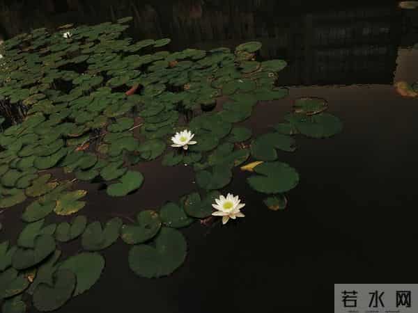 张小磊情感爆款文章：《不属于自己的，又何必拼了命去在乎》