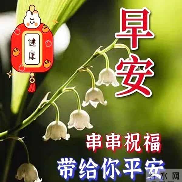 最新高情商早上好祝福语，阳光微笑早安图片，愿你平安幸福每一天