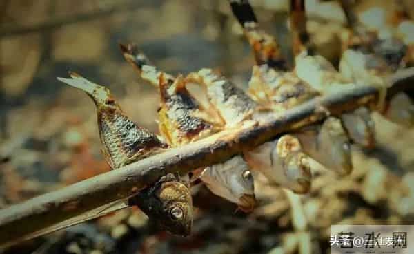 共赴侗乡盛会！三江2025年“月月过大节”活动出炉！