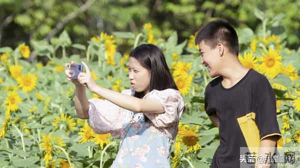 花千姿——花海国庆见闻（原创摄影+随笔300字）