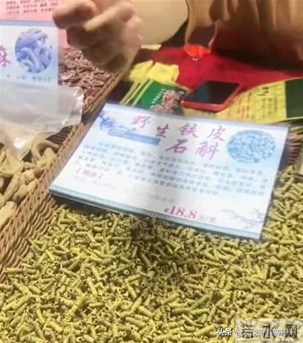 五一过半，趣事一箩筐，不仅人堵了骆驼也堵了……