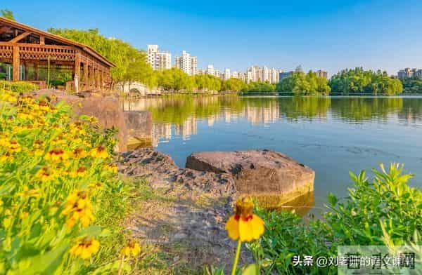 三年级满分作文《我的梦想》3篇作文300字400字