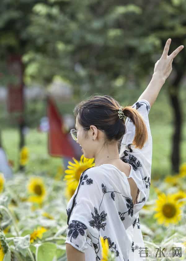 花千姿——花海国庆见闻（原创摄影+随笔300字）