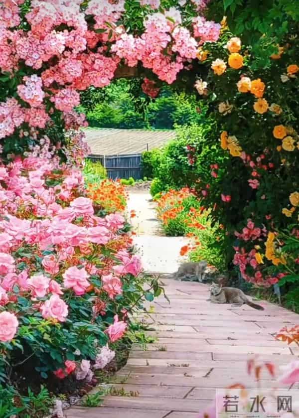 于无声处听惊雷，此时无声胜有声