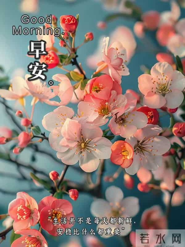 每日100句吉祥祝福语,最美的问候语大全,祝福朋友们快乐吉祥