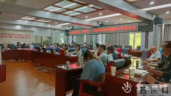 播乐乡全域所有村庄规划编制成果顺利通过市、区联合审查