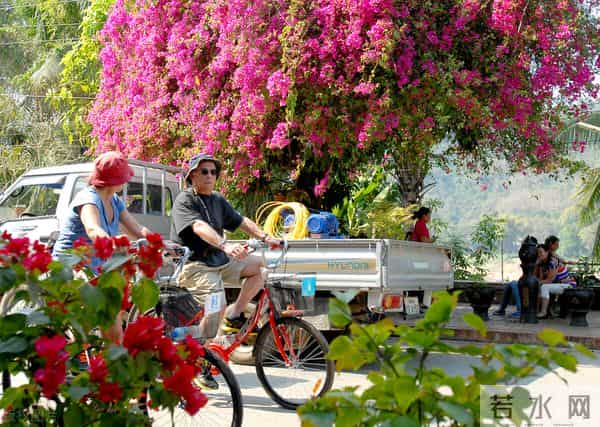 2024年部编版七年级英语教学工作总结