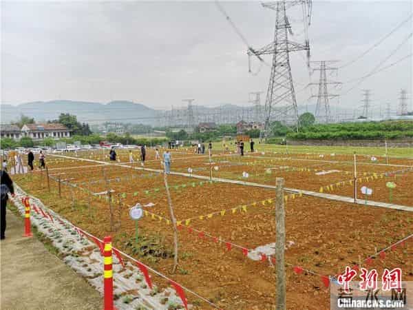 “五一”见闻：田园“农事”刮起旅游新风