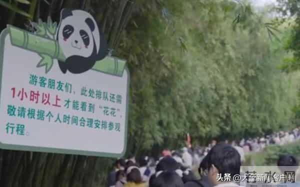 五一过半，趣事一箩筐，不仅人堵了骆驼也堵了……