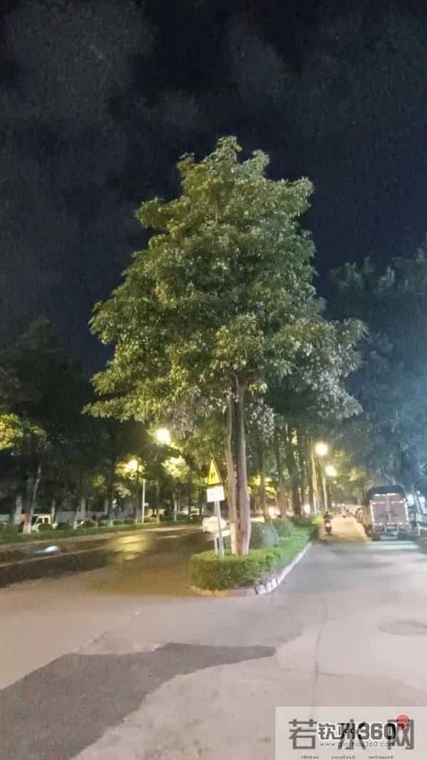 又香又臭好“上头”,广西街头这种树又开花了,到底有没有毒?