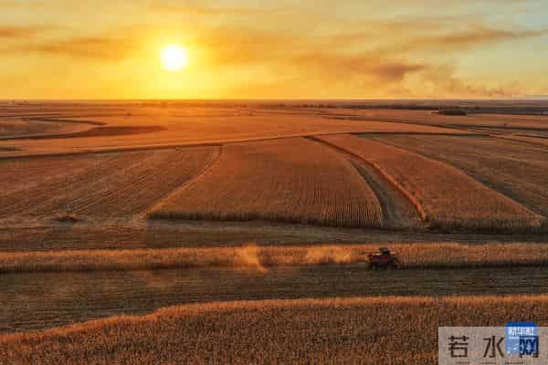 诗意中国丨农历八月