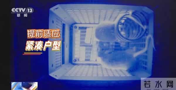 4只小老鼠将乘神舟飞船上太空!“魔鬼”训练画面曝光