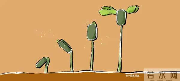 这30条期末评语写得真好！期末用得上，建议收藏→