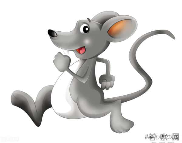 原创寓言二则:《想吃小鱼的鱼》、《怕老鼠的猫》