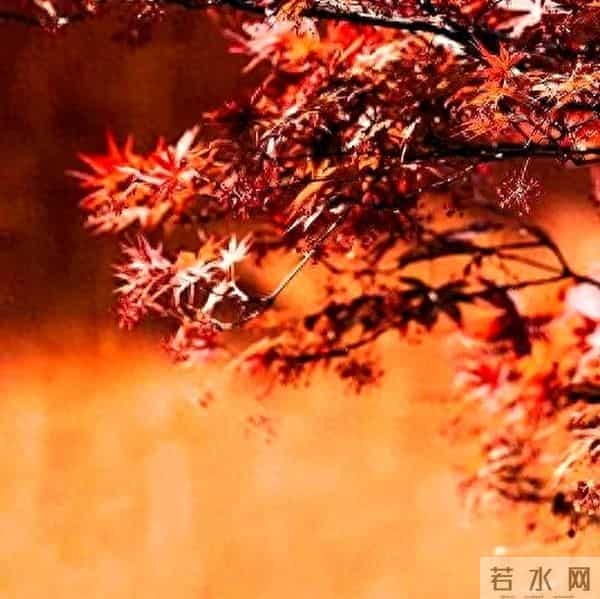 20句名人名言句句经典，句句醍醐灌顶