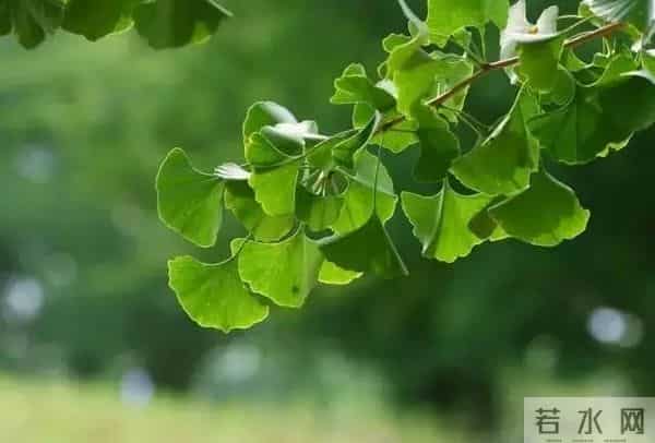 教师节｜正是这些老师教的歌撑起了我们的童年