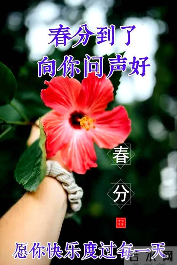 2025春分祝福语简短句子 二十四节气春分问候祝福语文案带图片